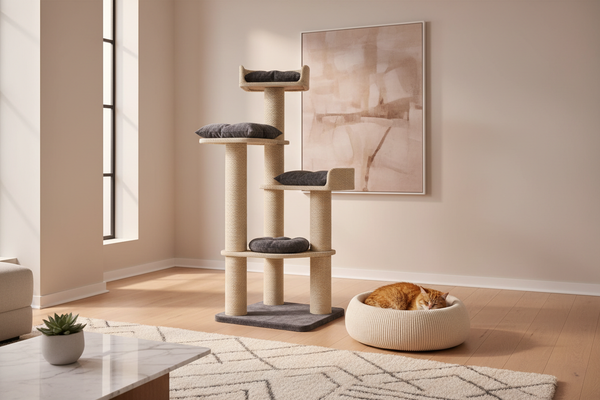 Cat Furniture & Scratching